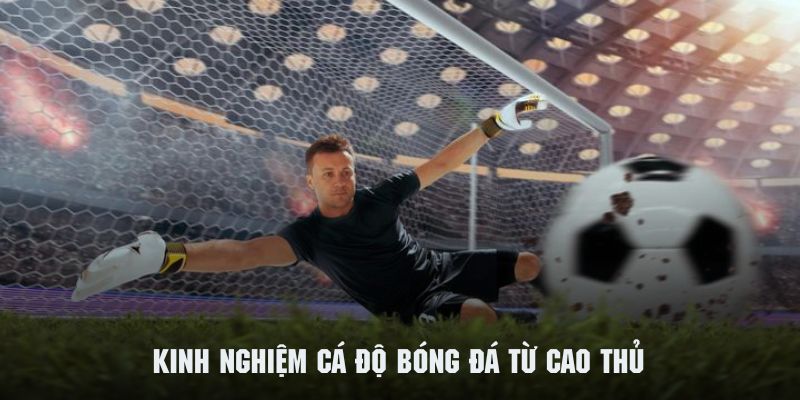 Kinh Nghiệm Cá Độ Bóng Đá - Bí Kíp Từ Chuyên Gia Tại QQ88 3 Kinh nghiệm cá độ bóng đá xương máu từ nhiều chuyên gia